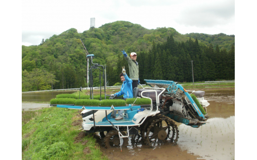 五城目町杉沢産　清流米　あきたこまち10kg（精米）