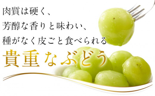 ぶどう 2024年 先行予約 黒川農園 自慢 ! の 大粒 大房 シャイン マスカット 1房 800g以上 ブドウ 葡萄  岡山県産 国産 フルーツ 果物 ギフト 