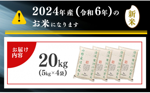 【2024年12月下旬】令和6年産 はえぬき 20kg（5kg×4袋） 山形県産 2024年産 【 精米 白米 東北 山形産 国産 20キロ 5キロ 4袋 食品 お取り寄せ 小分け ご飯 発送時期 配送時期 発送月 配送月 選べる ランキング 入賞歴 銘柄米 ロングセラー ブランド米 寒河江市 】040-C-JA011-2024-12下