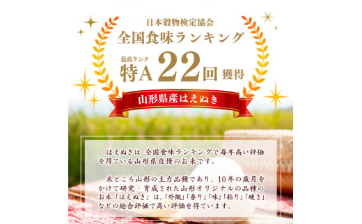 【2024年12月下旬】令和6年産 はえぬき 20kg（5kg×4袋） 山形県産 2024年産 【 精米 白米 東北 山形産 国産 20キロ 5キロ 4袋 食品 お取り寄せ 小分け ご飯 発送時期 配送時期 発送月 配送月 選べる ランキング 入賞歴 銘柄米 ロングセラー ブランド米 寒河江市 】040-C-JA011-2024-12下