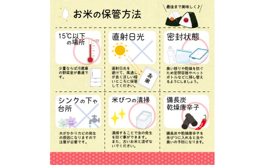 【2024年12月下旬】令和6年産 はえぬき 20kg（5kg×4袋） 山形県産 2024年産 【 精米 白米 東北 山形産 国産 20キロ 5キロ 4袋 食品 お取り寄せ 小分け ご飯 発送時期 配送時期 発送月 配送月 選べる ランキング 入賞歴 銘柄米 ロングセラー ブランド米 寒河江市 】040-C-JA011-2024-12下