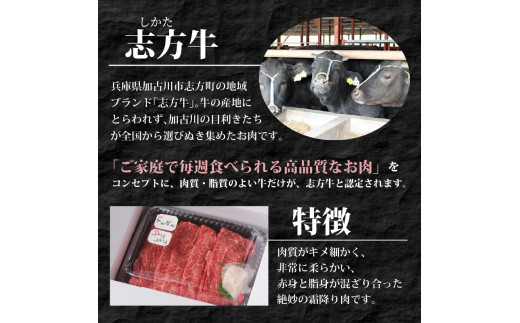 ★選べる配送月★【3月発送】志方牛しゃぶしゃぶ・すき焼(500g)《 牛肉 おすすめ 切り落とし 鍋 セット しゃぶしゃぶ すき焼き 牛肉 冷凍 国産 送料無料 肉 プレゼント お取り寄せ 美味しい 》【2401A00204-03】