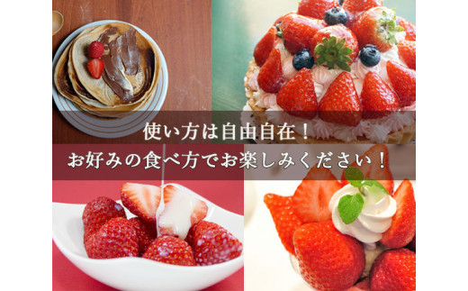 DY039　佐賀県産いちごさん 合計約1㎏ 250ｇ×4Ｐ 苺 いちご イチゴ【令和６年１月下旬から順次発送】