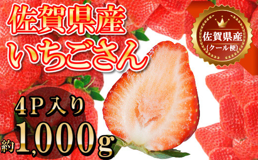 DY039　佐賀県産いちごさん 合計約1㎏ 250ｇ×4Ｐ 苺 いちご イチゴ【令和６年１月下旬から順次発送】