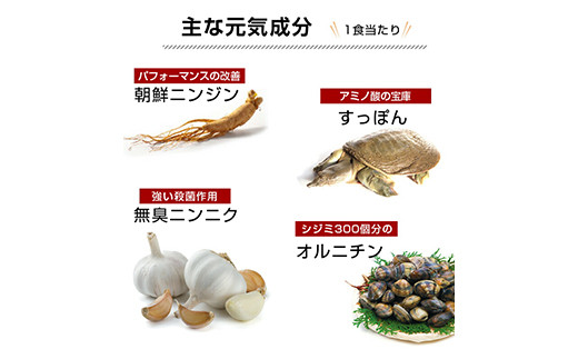 すごい元気カレースープ 合計250g(5g×50食) 小分け 粉末 スープ カレー 料理 調味料 隠し味 食品 F20E-819