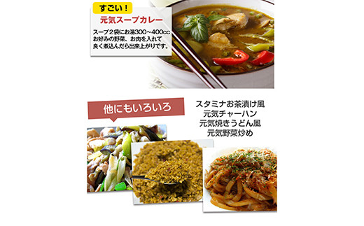 すごい元気カレースープ 合計250g(5g×50食) 小分け 粉末 スープ カレー 料理 調味料 隠し味 食品 F20E-819