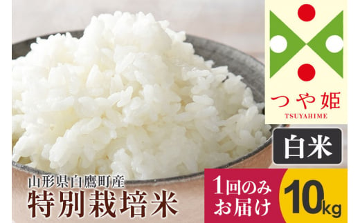 【令和6年産新米】〈白米〉 つや姫 10kg（特別栽培米）