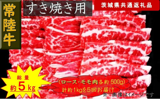 【5か月定期便】【常陸牛】すき焼き用肉 約1kg【定期便】計5回 総量約5kg（茨城県共通返礼品）【 常陸牛 茨城県 日立市 】