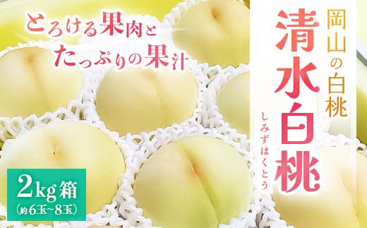 【2024年7月下旬より順次発送予定】とろける果肉と果汁たっぷりの岡山の白桃・清水白桃(2kg箱) TY0-0325