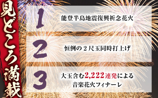 かごしま錦江湾サマーナイト大花火大会 観覧席 ウォーターフロントD席（指定無）　K303-003