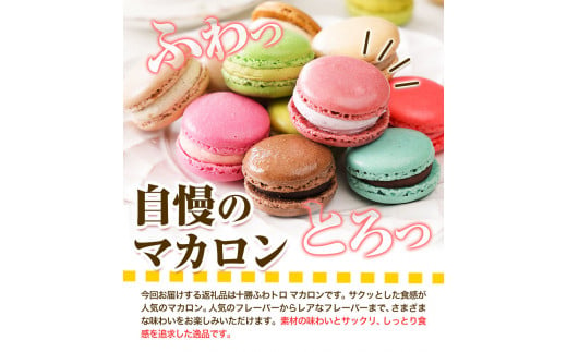 マカロン アソートタイプ 12個入り 欧風ケーキ工房 かねもり 《45日以内に出荷予定(土日祝除く)》 北海道 本別町 送料無料 スイーツ デザート 洋菓子 お菓子 全15種 ランダム