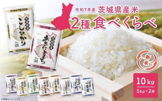 茨城県 筑西市産 コシヒカリ 10kg ( 5kg × 2袋 ) 令和6年産
