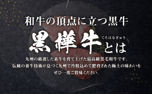 【3回定期便】くまもと黒毛和牛 杉本本店 黒樺牛 A4~A5等級 ヒレステーキ定期便 400g✕3回