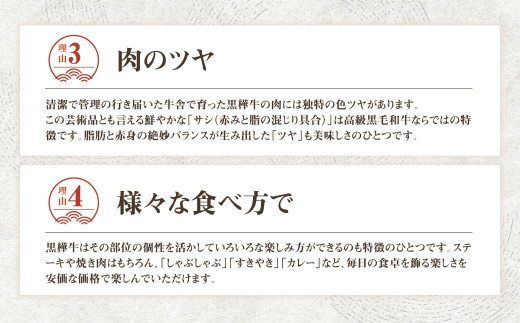 【３回定期便】くまもと黒毛和牛 杉本本店 黒樺牛 A4~A5等級 ヒレステーキ定期便 400g✕3回