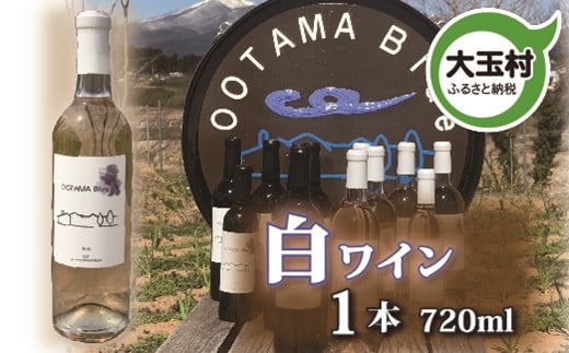 【数量限定】ワイン　白 甲州種　720ml 1本（ootama blue）【20002】