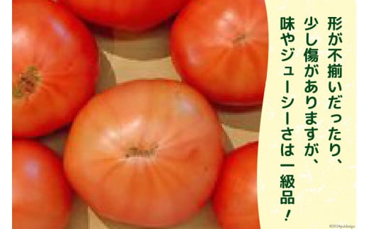 【 訳あり 】志宝トマト 大玉 約 2kg [モアショップヤマモト 石川県 宝達志水町 38600931] トマト とまと 不揃い 規格外 野菜 食品 石川県産