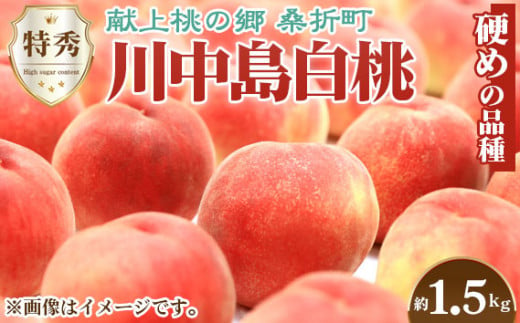 No.138 川中島白桃　特秀1.5kg　桑折町産　JAふくしま未来　もも ／ モモ 果物 フルーツ 福島県 特産品