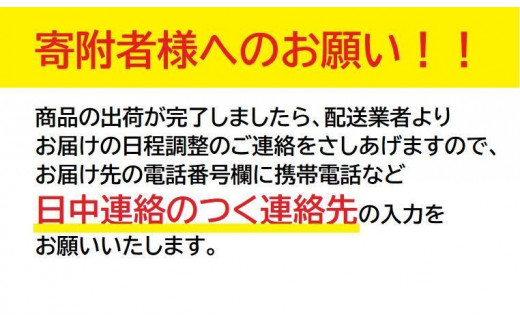 ヱビス自転車　 セデオ20　20インチ小径自転車 シマノ製内装3段変速（低床式フレーム 安定感 LEDオートライト 幼児2人同乗認定 ）【マットブラック】