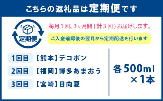 【3ヶ月定期便】九州を飲む！毎月届く九州果実シロップ