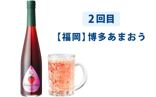 【3ヶ月定期便】九州を飲む！毎月届く九州果実シロップ