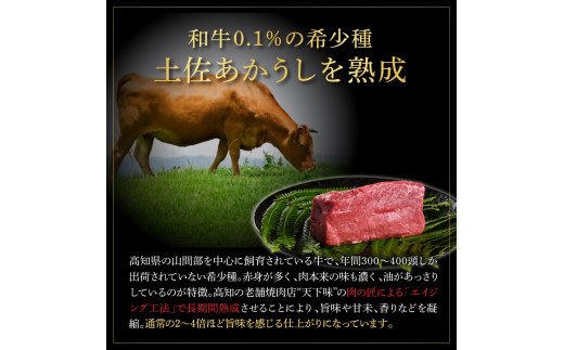 特選 ロースブロック 土佐あかうし 長期熟成肉 500g 田野屋銀象 完全天日塩付き ロース 牛肉 ブロック 肉 お肉 和牛 国産 牛 熟成肉 ブロック肉 豪華 贅沢 真空パック 冷凍配送