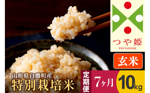 《定期便7ヶ月》【玄米】つや姫 10kg×7回（特別栽培米）令和5年産 山形県産 しらたかのお米