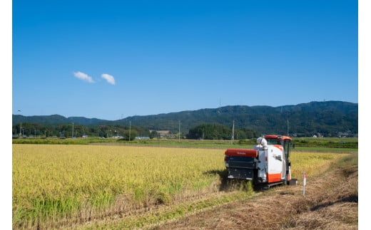 【期間限定発送】 3回 定期便 米 特別栽培米 コシヒカリ 玄米 5kg ×1×3回 総計 15kg [農家にしの 石川県 宝達志水町 38600838] 米 お米 ご飯 ごはん こしひかり 石川 美味しい