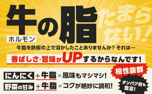 自家製 国産 牛 あぶらかす 小 1kg (500g×2) ホルモン かすうどん お好み焼き たこ焼き チャーハン 餃子 ラーメン おつまみ おすすめ 隠し味 人気 お取り寄せ グルメ 食品 キャンプ 油かす