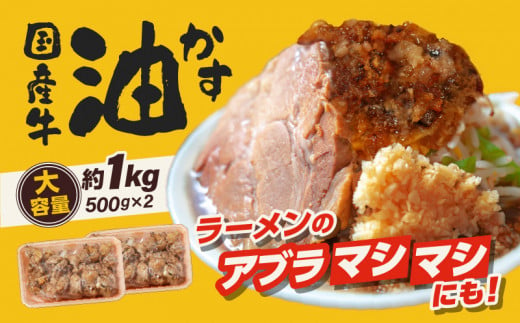 自家製 国産 牛 あぶらかす 小 1kg (500g×2) ホルモン かすうどん お好み焼き たこ焼き チャーハン 餃子 ラーメン おつまみ おすすめ 隠し味 人気 お取り寄せ グルメ 食品 キャンプ 油かす