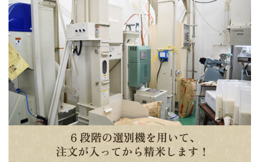 【令和5年産米】新潟産コシヒカリ「伝ゴールド」白米真空パック 精米2kg 南麻布の高級料亭で提供される極上米 かやもり農園