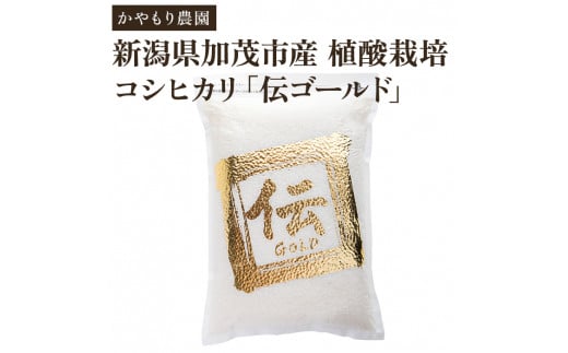 【令和5年産米】新潟産コシヒカリ「伝ゴールド」白米真空パック 精米2kg 南麻布の高級料亭で提供される極上米 かやもり農園