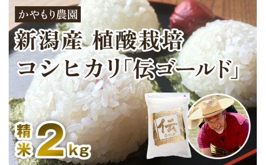 新潟産コシヒカリ「伝ゴールド」白米真空パック 精米2kg