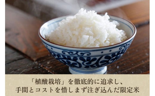 【令和5年産米】新潟産コシヒカリ「伝ゴールド」白米真空パック 精米2kg 南麻布の高級料亭で提供される極上米 かやもり農園