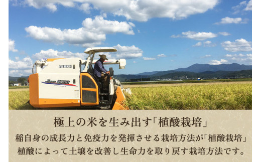 【令和5年産米】新潟産コシヒカリ「伝ゴールド」白米真空パック 精米2kg 南麻布の高級料亭で提供される極上米 かやもり農園