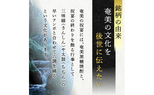 【奄美黒糖焼酎】あまみ六調20度 900ml 2本　A082-013-02