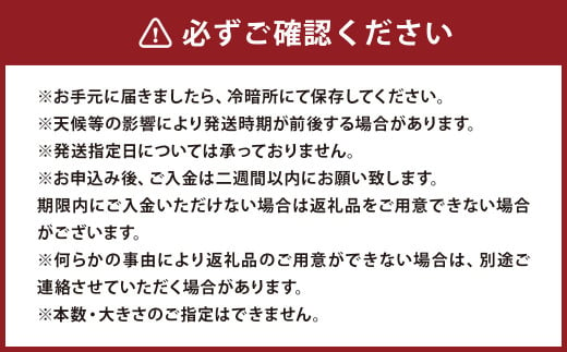 さつまいも 紅はるか 秀品 10kg