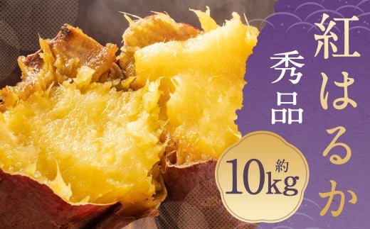 さつまいも 紅はるか 秀品 10kg