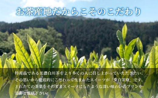 【冷蔵】煎茶＆ほうじ茶プリン食べ比べ！ 東白茶寮プリン 「薫」 6個セット 煎茶プリン ほうじ茶プリン プリン 贈り物 美濃白川茶 煎茶 ほうじ茶 お茶 日本茶 緑茶 10000円 一万円