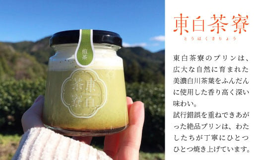 【冷蔵】煎茶＆ほうじ茶プリン食べ比べ！ 東白茶寮プリン 「薫」 6個セット 煎茶プリン ほうじ茶プリン プリン 贈り物 美濃白川茶 煎茶 ほうじ茶 お茶 日本茶 緑茶 10000円 一万円