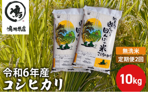 【定期2ヶ月】新米 コシヒカリ 乾式無洗米 10kg（5kg×2）令和6年産 [№5346-0661]