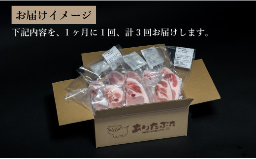 【3回定期便 総計3kg】 ありたぶた ロース とんかつ用 約1kg (1枚約100g×10パック) 3回 定期便 小分け 真空パック 豚肉 N30-27