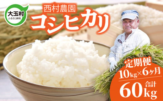 米 定期便 コシヒカリ 60kg ( 10kg × 6ヶ月 ) 《 令和6年 》 福島県 大玉村 西村農園 新米 ｜ こしひかり 精米 定期 6回 コメ ｜ nm-kh10-t6-R6