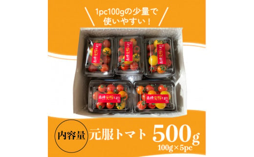 赤崎元服トマト フルーツトマト 500g (100g×5パック) 野菜 ミニトマト