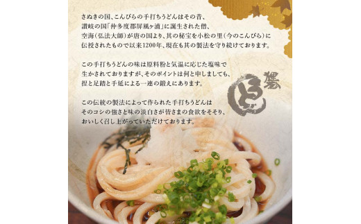 ＜大容量＞まんぷく狸屋 讃岐うどん 30人前（うどんのみ） 生うどん つゆ うどん 本場 讃岐 讃岐うどん さぬきうどん ご当地 グルメ 名産品 食品 四国 F5J-207