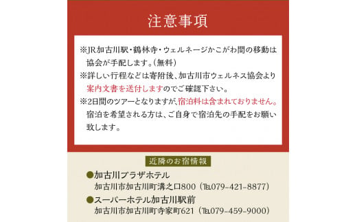 棋士のまち加古川 ～ゆかりのプロ棋士との交流会～《 将棋 駒 プロ棋士 交流会 体験 期間限定 》【2405L04201】