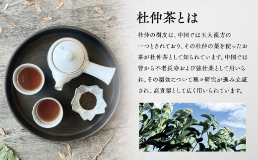 信州伊那谷謹製 杜仲茶30パック2個 100%国産杜仲茶葉 ノンカフェイン 箕輪町 お茶 お取り寄せ　[№5675-1479]