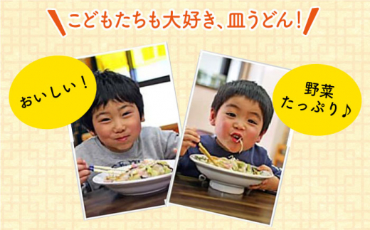 【全3回定期便】《具材付》長崎冷凍皿うどん 総計12食（4食×3回）長崎県/ひふみ [42AABZ011]　皿うどん 麺 麺類 スープ 冷凍 小分け 具付き 簡単調理 ギフト 長崎