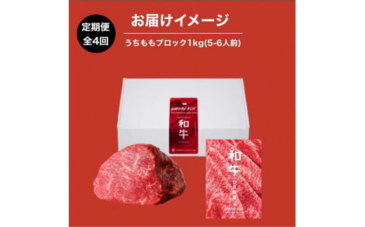 WAGYU PROTEIN 定期便　4回分《 牛肉 お肉 肉 高タンパク 赤身肉 うちもも肉 ローストビーフ ステーキ おすすめ ギフト 贈答 プレゼント 定期便 》【2415A11505】