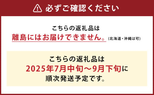 いわてひろファームの「岩手にのへきゅうり」訳アリ・Ｂ品 10kg(5kg×2箱)