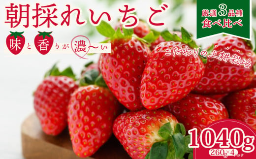 厳選朝採れいちご3品種食べ比べ！味と香りが濃いこだわりの土耕栽培いちご